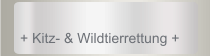 + Kitz- & Wildtierrettung +