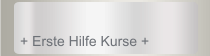 + Erste Hilfe Kurse +